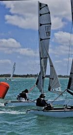 Torquay Pharmacy Regatta 20254